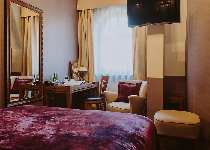 Grape 브로츠와프