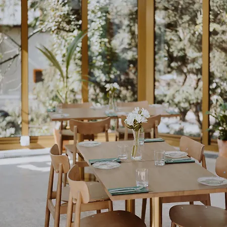 Grape 弗罗茨瓦夫