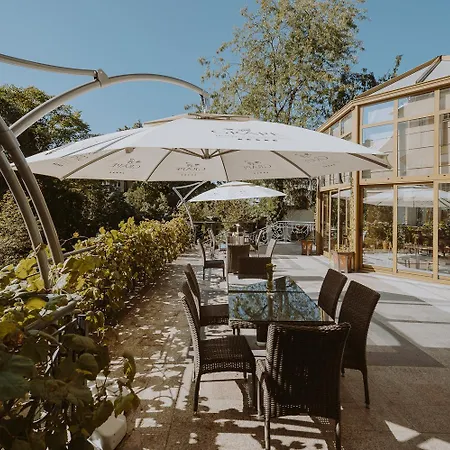 Grape 5* 弗罗茨瓦夫