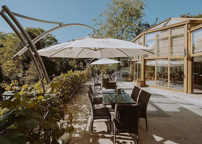 Grape 5* ヴロツワフ